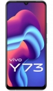 vivo Y73 scheda tecnica